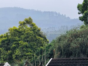 Miscellaneous - Cosy & Private cottage with easy access to N3 (Pietermaritzburg)