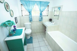 Shower, hair dryer