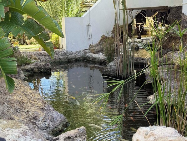 Terrain de l’hébergement 