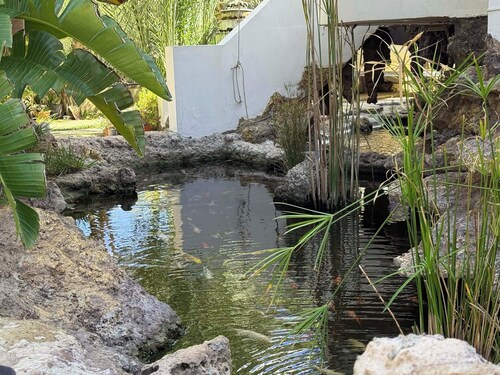 Beachfront cabin, designed for slow mornings and effortless relaxation.