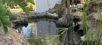 Beachfront cabin, designed for slow mornings and effortless relaxation.