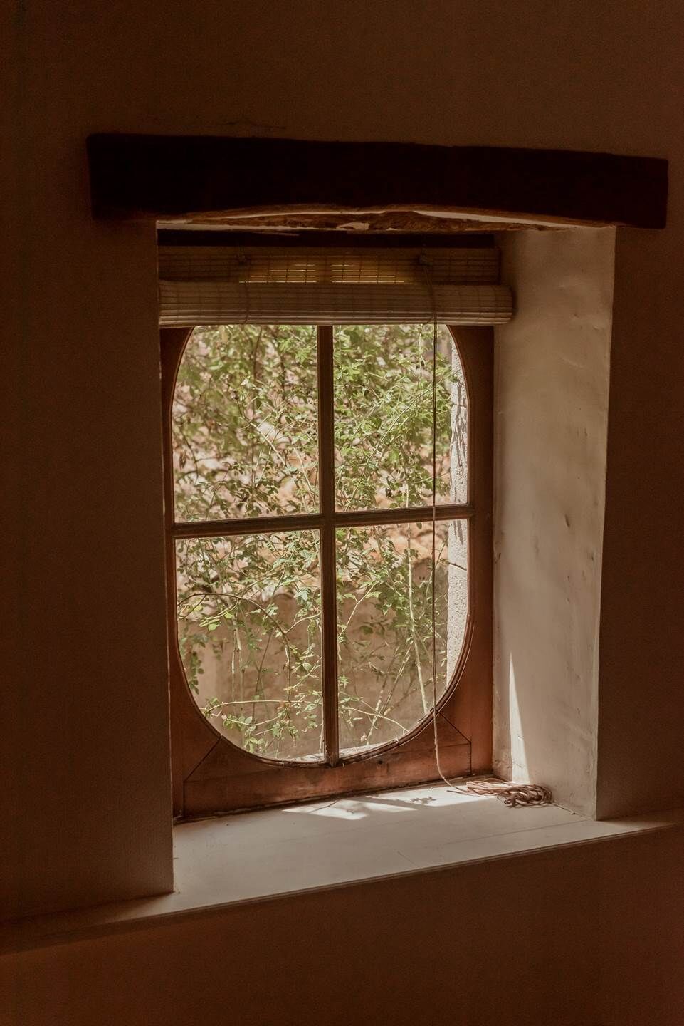 A window with a view of greenery outside.