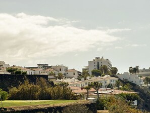 Miscellaneous - Violetas del Teide en Puerto de la Cruz (Puerto de la Cruz)