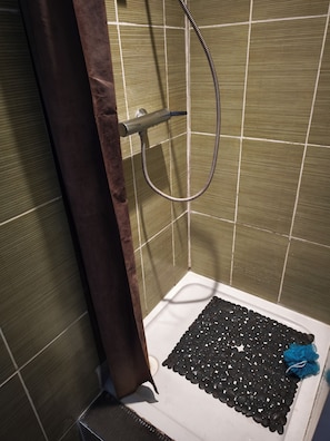 Regadera, secadora de cabello, toallas, papel de baño 