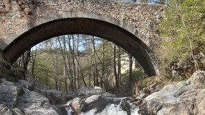 Un puente de piedra sobre una cascada, con un bosque en el fondo.