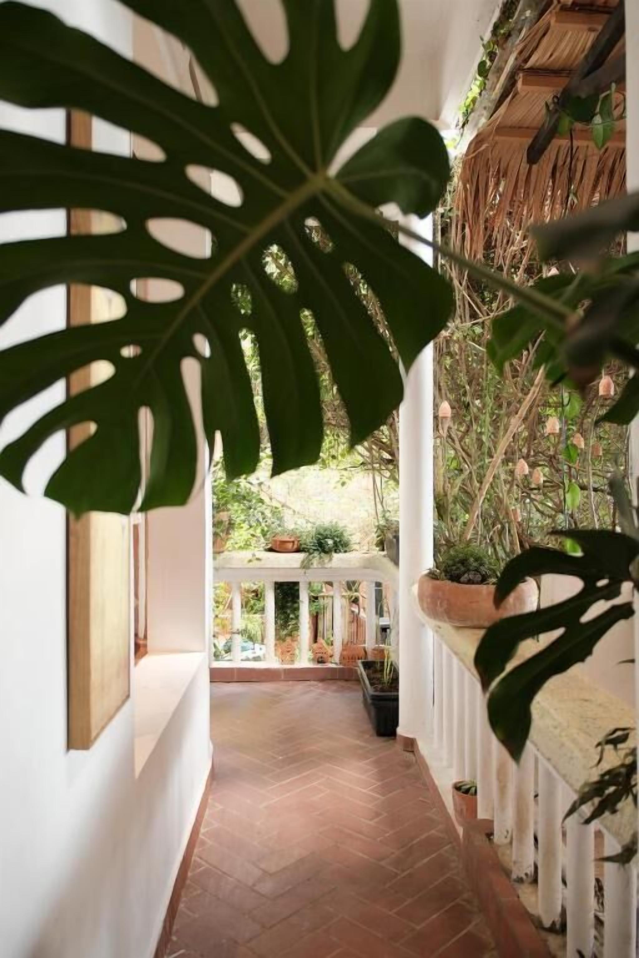 Quadruple Room, Garden View | Property grounds