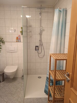 Shower, hair dryer, towels, toilet paper