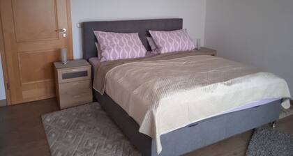 Ferienwohnung Herzing Kleinlesau