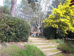 Parco della struttura