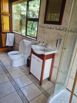 Habitación, varias habitaciones, accesible para personas con discapacidad, fumadores | Baño