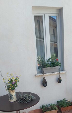 Una finestra amb un marc blanc, una planta en test i una taula amb un ram de flors i una cistada de plantes verdes.