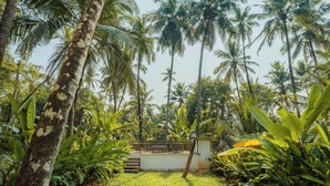 A lush garden with tall palm trees and a white building with a black fence. - ELIVAAS Maison 10 Luxe 4 BHK Villa  (Siolim)