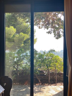 Une vue à travers une fenêtre, avec un sentier de pierres, des arbres et une colline au loin.
