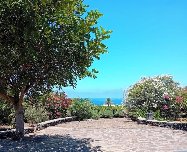 A paved pathway leading to a scenic view of the ocean, surrounded by lush greenery and flowering plants.