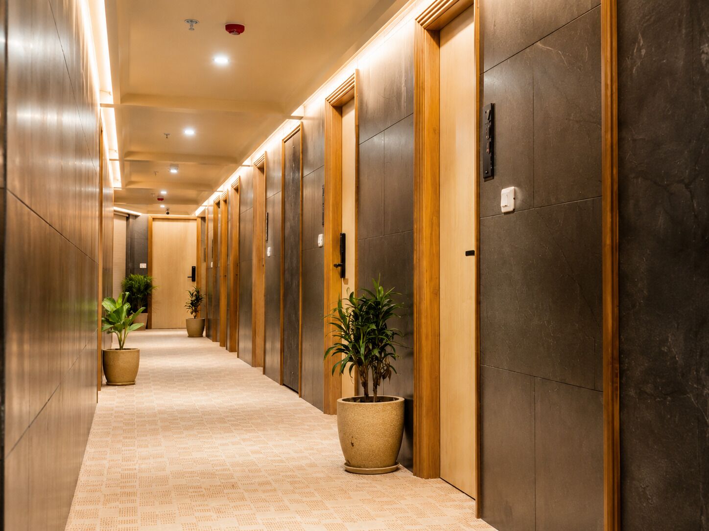 Um corredor com vários elevadores, plantas em vasos e piso coberto de carpete.