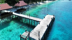 Une jetée en bois s’étendant dans une eau turquoise et limpide, entourée d’une végétation luxuriante et d’une plage.