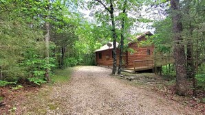 Eine Holzhütte, umgeben von dichtem Wald, mit einem Kiesweg, der dorthin führt.