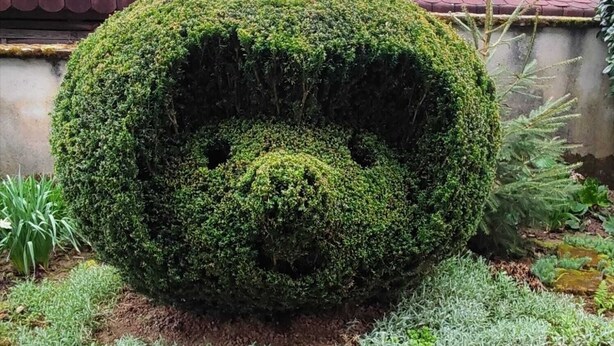 Un topio sferico a forma di viso, con un foro per l'occhio e una bocca, circondato da vegetazione e un tetto in tegole rosse sullo sfondo.