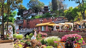 Áreas de la propiedad