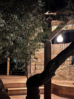 Terrein van de accommodatie