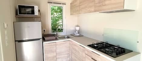 Fridge, microwave, coffee/tea maker
