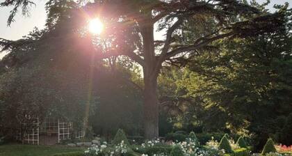 Cozy chalet - 6 guests