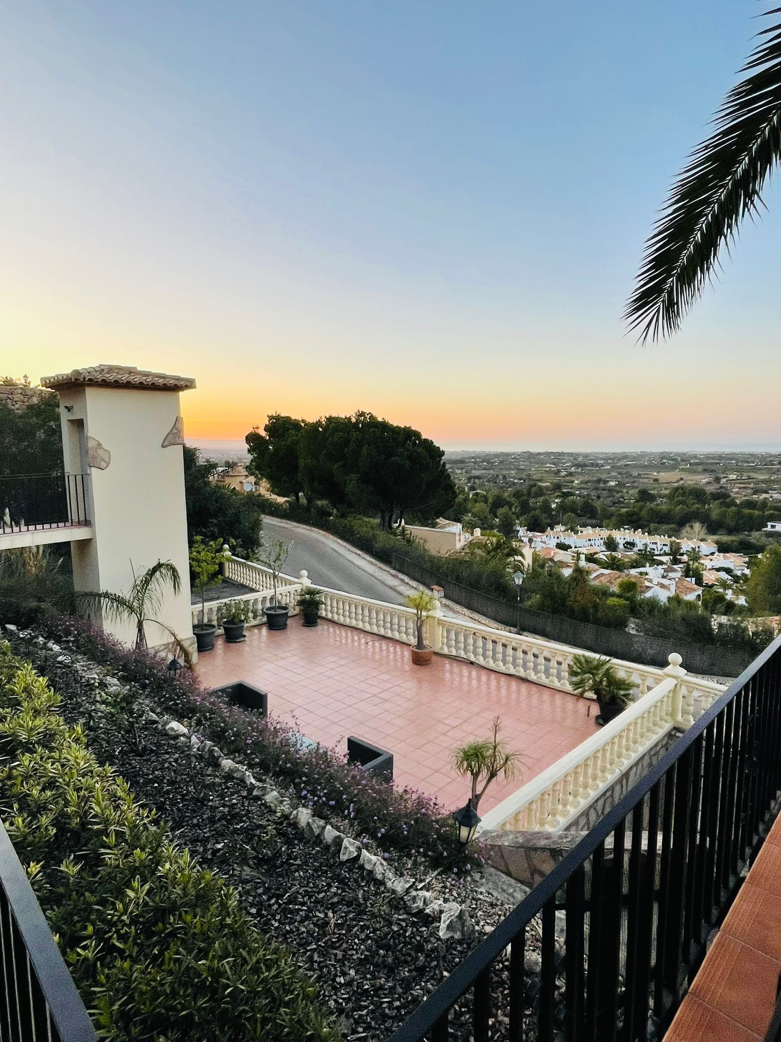 A terrace with a view of a town, a white building with a balcony, and a palm tree.
