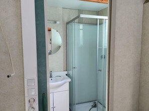 A bathroom with a glass-enclosed shower, a white sink, and a mirror. - Cozy chalet pets welcome - 5 guests (La Tour-d'Auvergne)