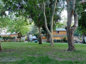 A park with trees, benches, and a building in the background. - Mobile home, pets allowed - 2 guests (Saint-Florent)