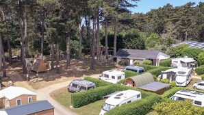 Ein Campingplatz mit Wohnmobilen, einem kleinen Holgebäude und einem großen Baum.