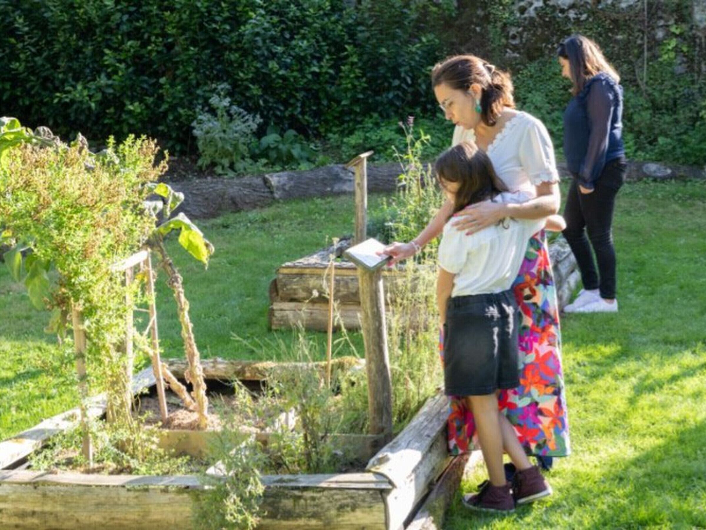 A garden with a wooden structure, a small plant, and a person holding a book.