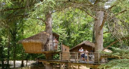 Chalet in Magné - 6 guests