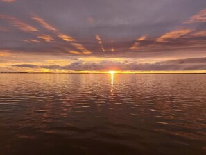 Miscellaneous - Vacation home Harmonia, experience nature on the Bodden and Baltic Sea (Saal)