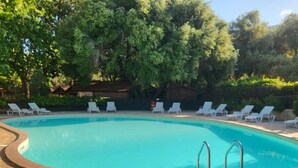 Een zwembad met ligbedden en een terras van bakstenen.