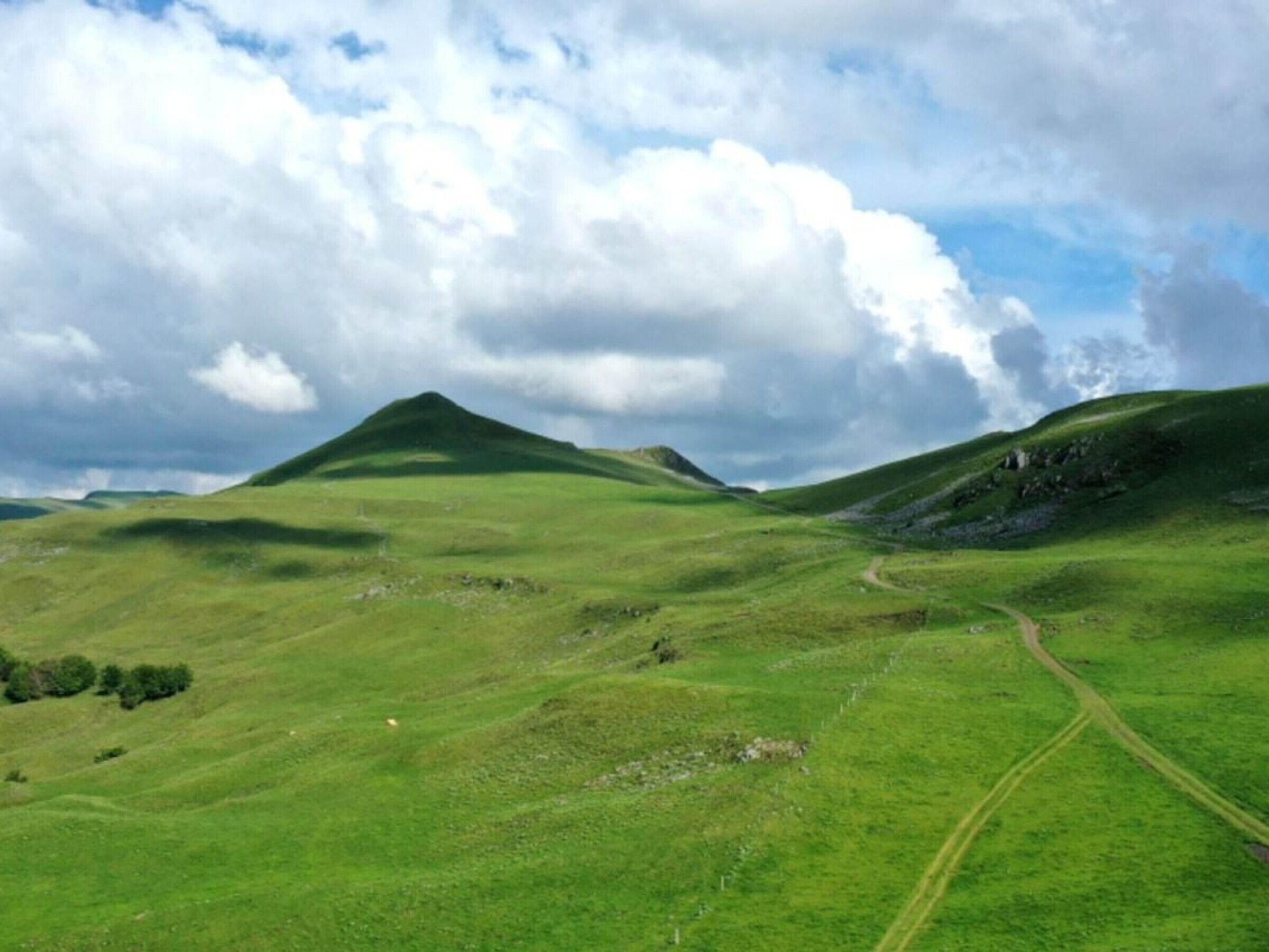 منوع