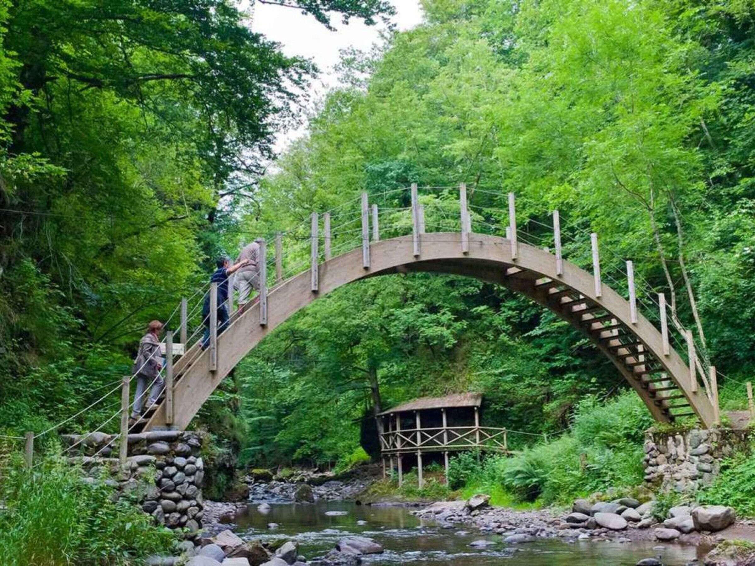Un pont de pierre avec une passerelle en bois qui enjambe un ruisseau, le tout entouré d’une végétation luxuriante.