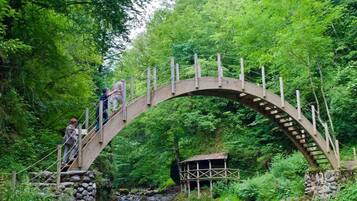Un pont de pierre avec une passerelle en bois qui enjambe un ruisseau, le tout entouré d’une végétation luxuriante.