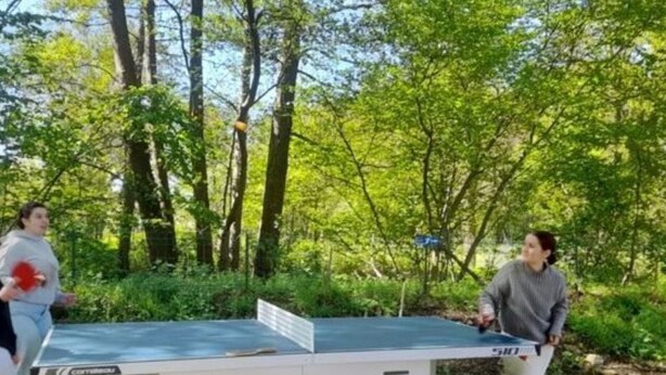 Taula de ping-pong a l'aire lliure en un parc amb arbres.
