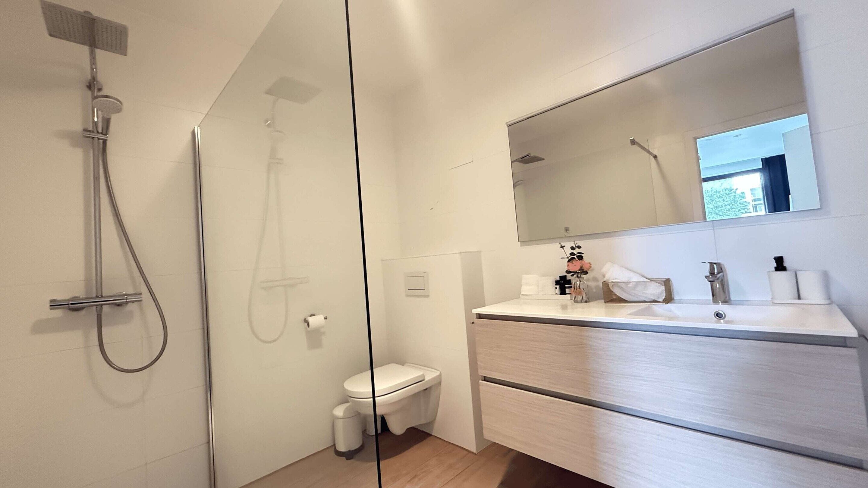 Apartment | Bathroom | Hair dryer, soap, shampoo