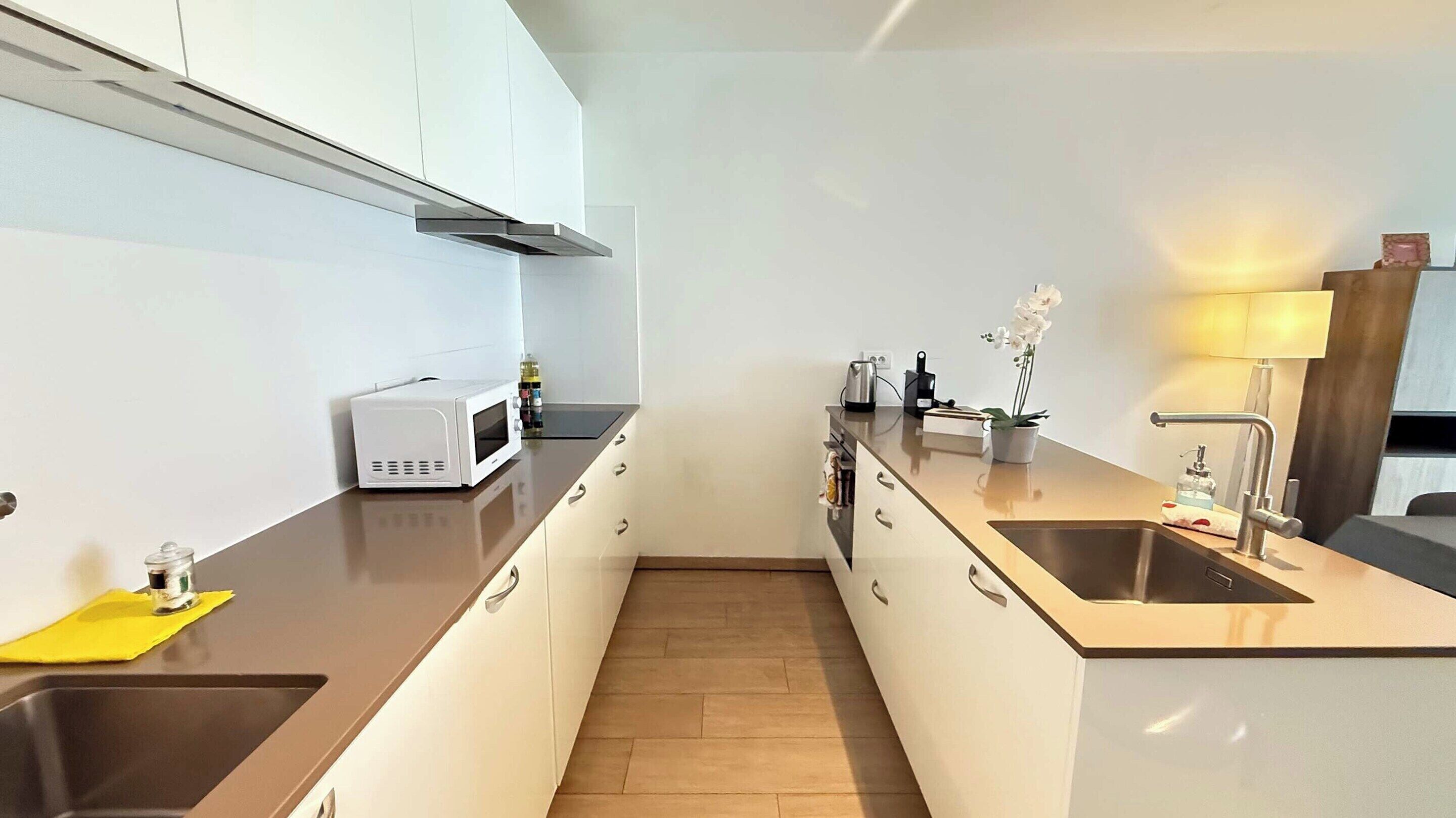 Apartment | Private kitchen | Cleaning supplies