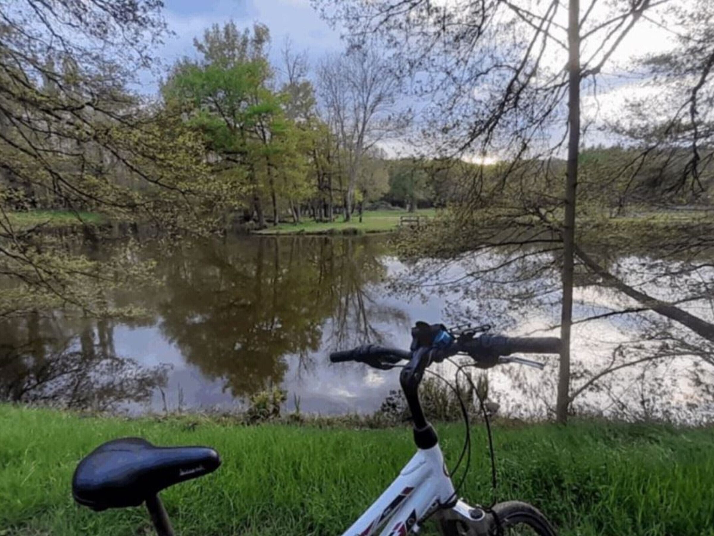Una bicicleta estacionada junto a un lago tranquilo, con árboles al fondo.