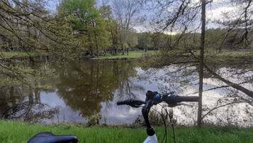 Una bicicleta estacionada junto a un lago tranquilo, con árboles al fondo.