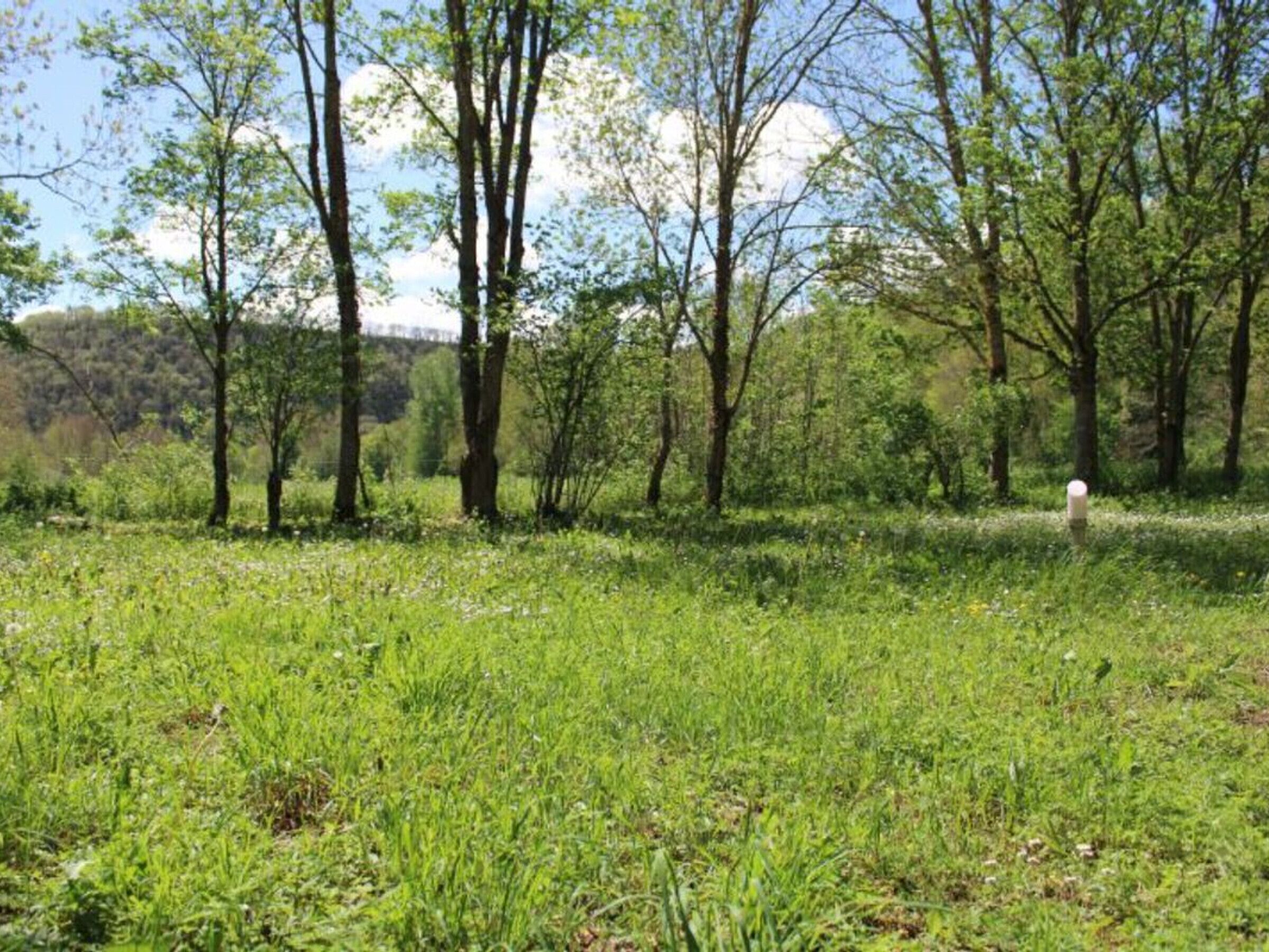 A grassy field with trees and a white object in the distance.