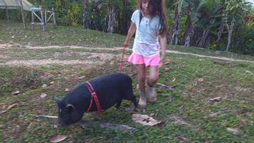 Shared Dormitory, 1 Bedroom, Smoking, Balcony | Property grounds