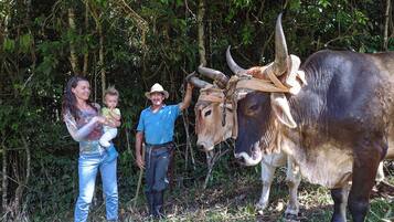 Un homme et une femme, accompagnés d’un enfant, se tiennent dans une zone boisée, à côté de deux gros bovins dotés de cornes.