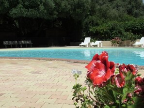 Pool - Mobil home, pets allowed - 2 guests (Saint-Florent)
