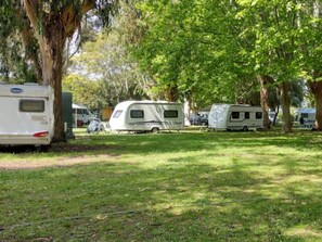 Property grounds - Mobil home, pets allowed - 2 guests (Saint-Florent)