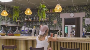 En bar med disk, barstole, hængende planter og et ur på væggen.