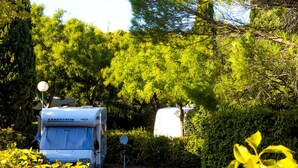 A white RV parked in a wooded area with dense trees and a gravel path. - Mobile home AC, pets welcome - 4 guests (Lézignan-Corbières)