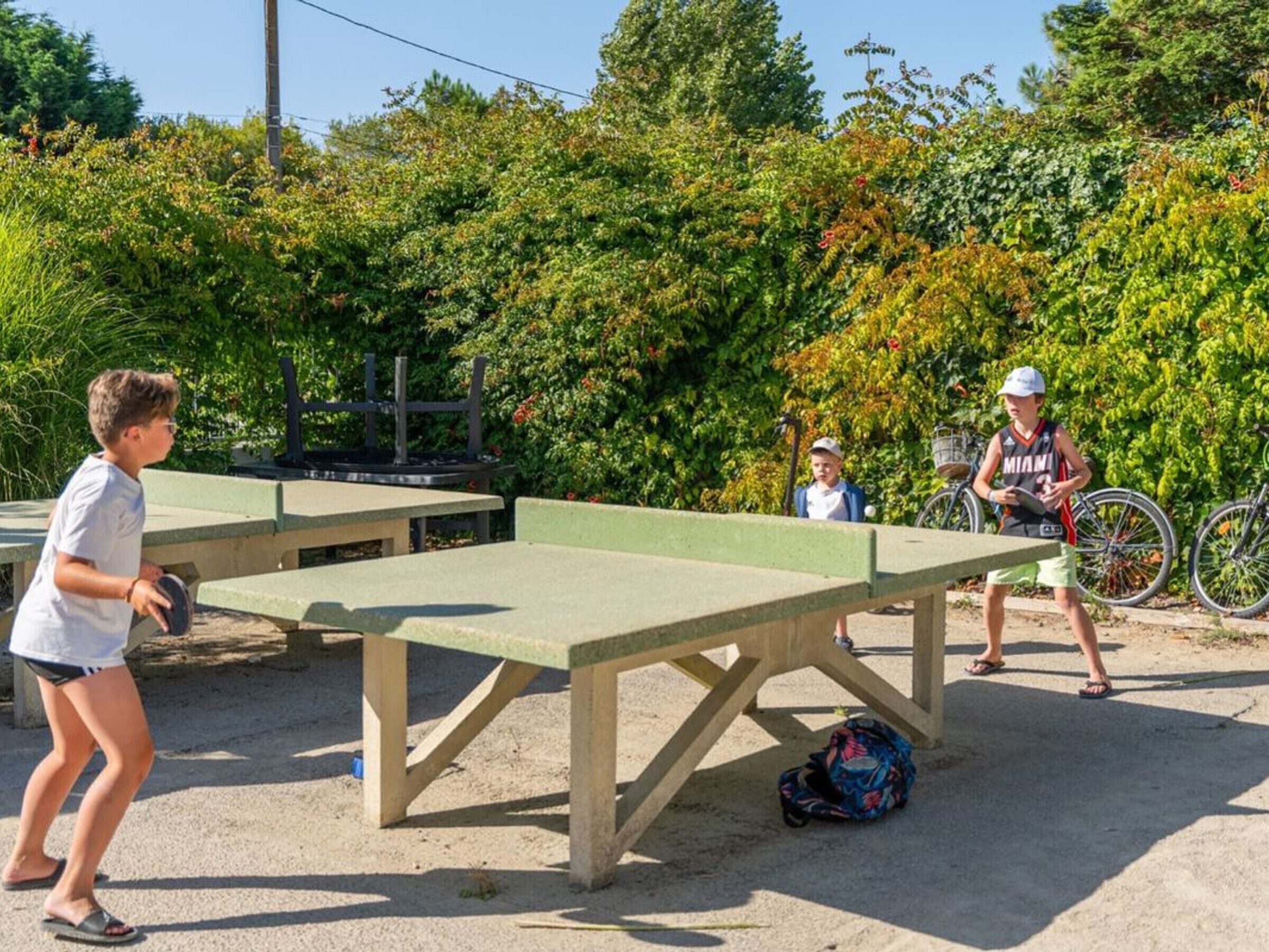 Une table de ping-pong avec des bancs, entourée de verdure.